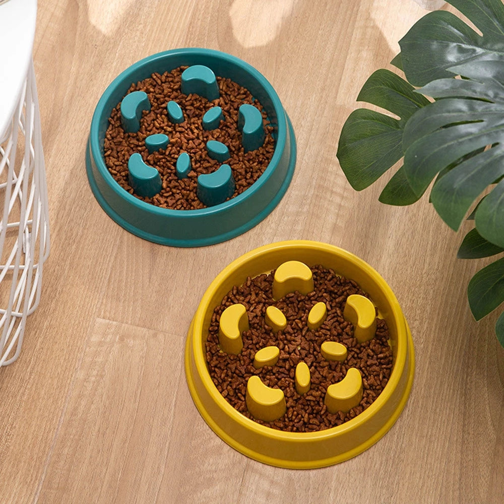 Anti-Choking Slow Feeder and Water Bowl Station Set for Dogs and Cats - Prevents Overeating and Promotes Healthy Digestion