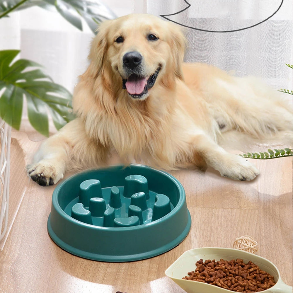 Anti-Choking Slow Feeder and Water Bowl Station Set for Dogs and Cats - Prevents Overeating and Promotes Healthy Digestion
